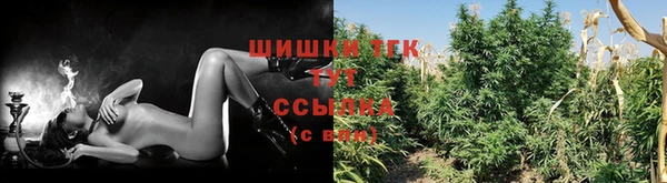 сатива Алексин