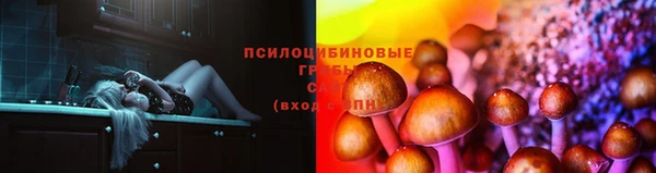 сатива Алексин